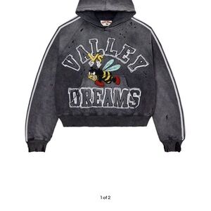 Valley Dreams Gray Hoodie